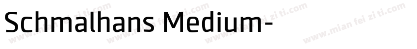 Schmalhans Medium字体转换